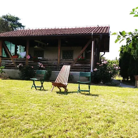 Vakantiehuis Vikendica Memic *