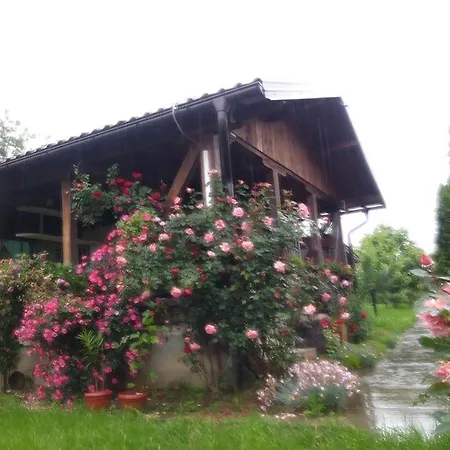 Vikendica Memic *